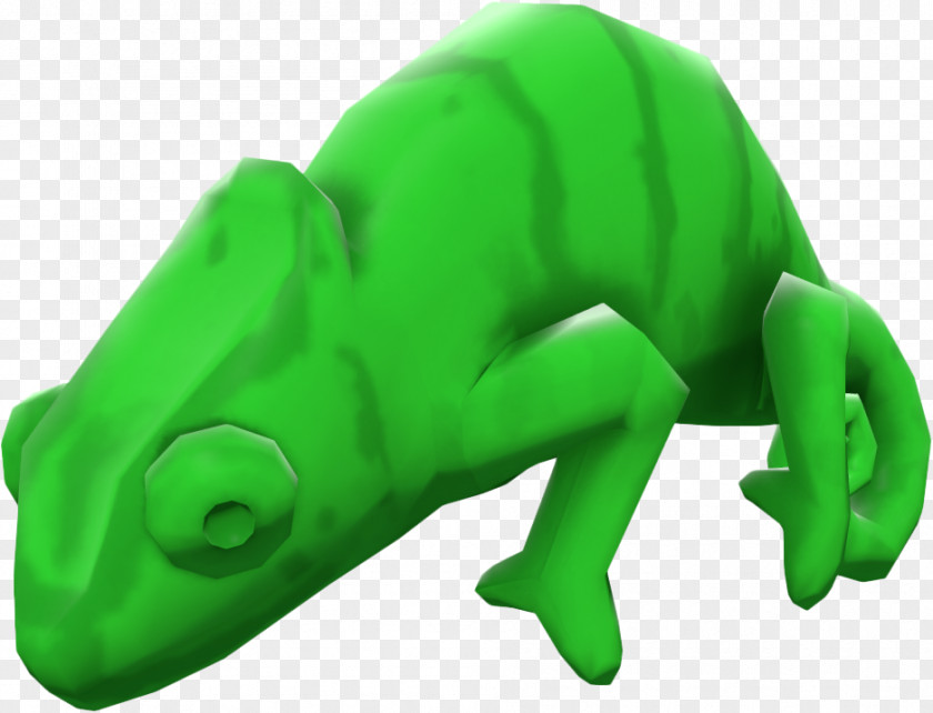 Frog Tree Reptile PNG