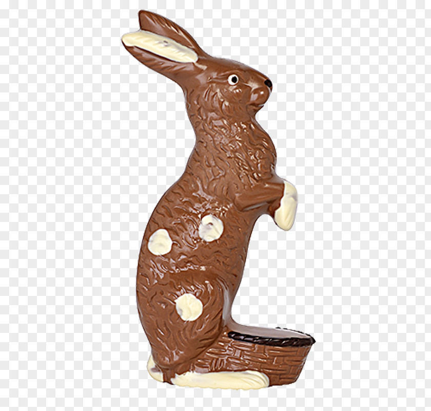 Gesehen Domestic Rabbit Easter Bunny Hare PNG