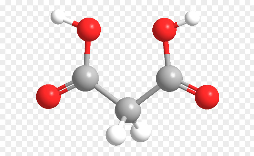 Malic Acid Malonic Dicarboxylic Chemistry Traumatic PNG