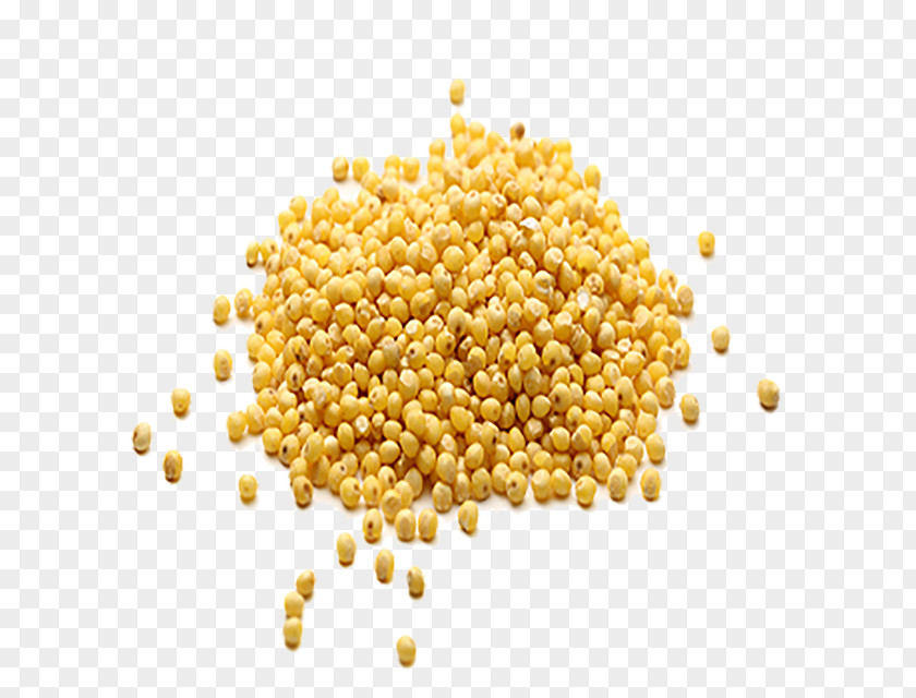 Pearl Millet Cereal Whole Grain PNG