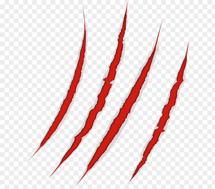 Scratches Claw Image Adobe Illustrator PNG