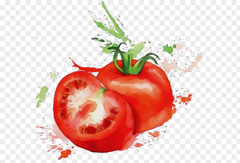 Still Life Photography Cherry Tomatoes Drawing Of Family PNG