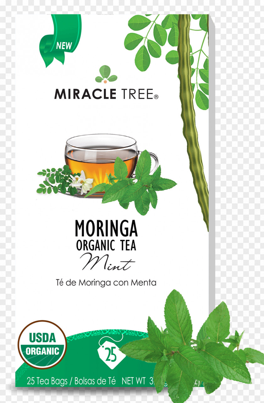 Tea Drumstick Tree Infusion Herb Honey PNG