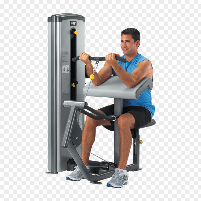 Bicep Curls Physical Fitness Biceps Curl Exercise Equipment Centre PNG