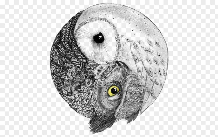 Owl Barred Yin And Yang Bird Barn PNG