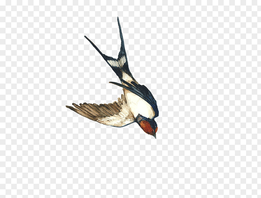 Painting Watercolor Duck PNG