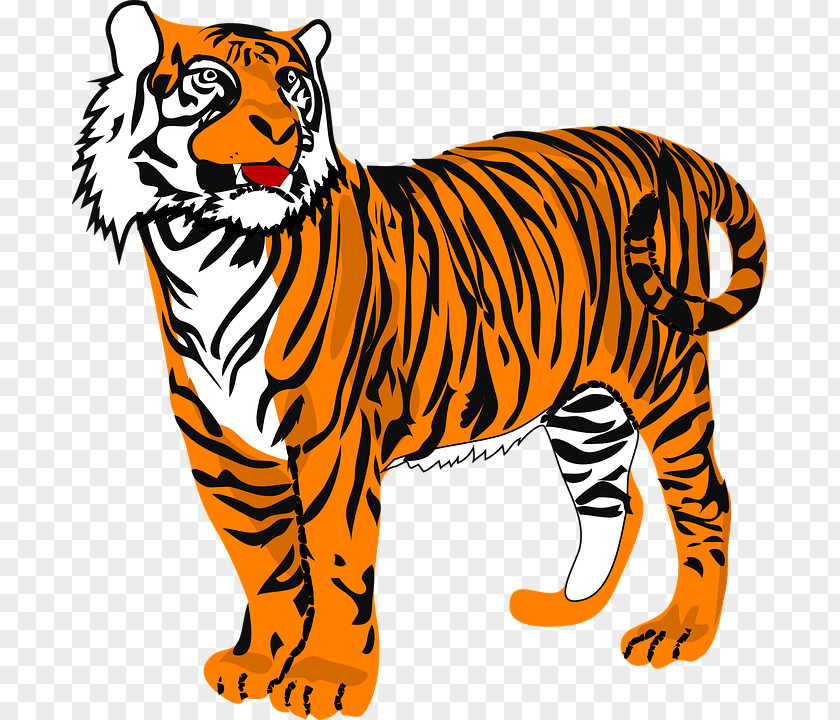 Clemson University Bengal Tiger Clip Art PNG