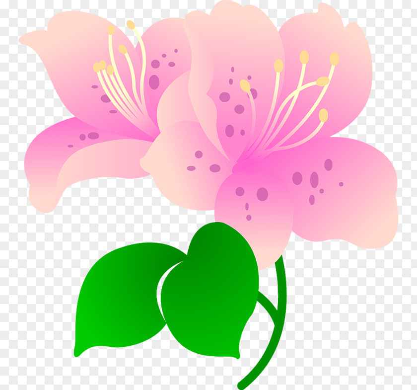 Flower PNG