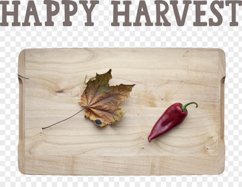 Happy Harvest Harvest Time PNG