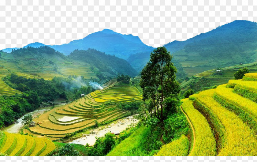 Mountain Terraces Sa Pa Mxf9 Cang Chu1ea3i District Jigsaw Puzzle Terrace Field PNG