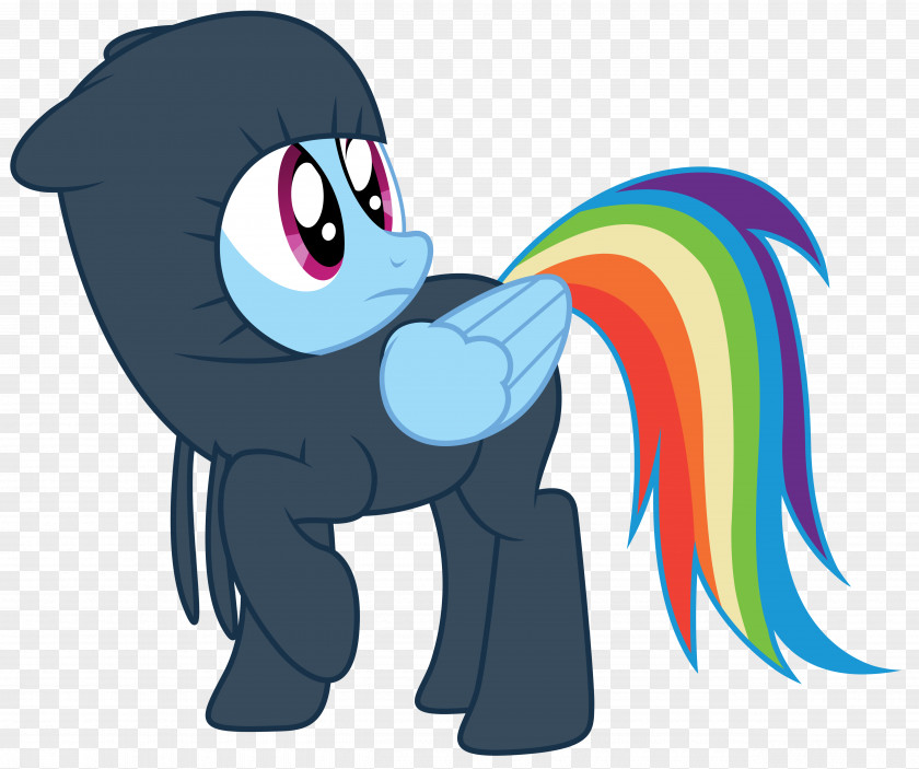 My Little Pony Rainbow Dash Ninja PNG