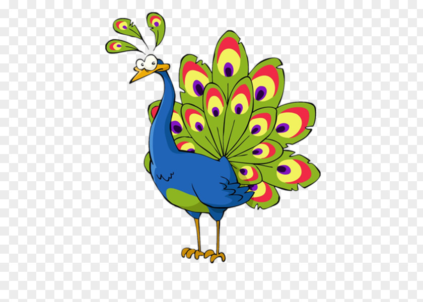 Cartoon Peacock Peafowl Stock Photography Illustration PNG