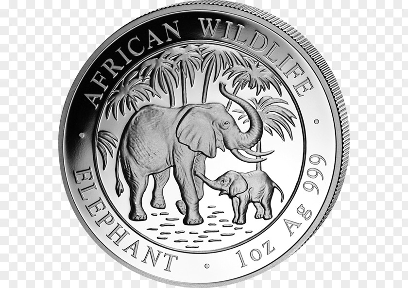 Coin Silver African Elephant Indian Somalia PNG