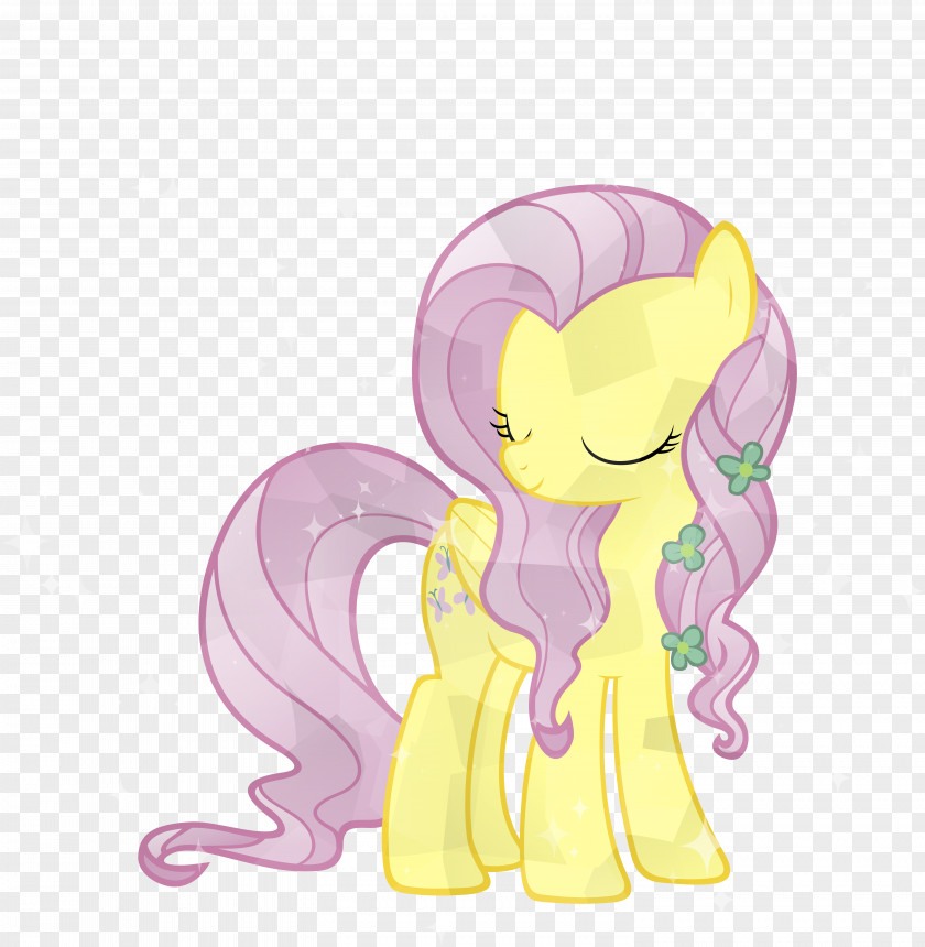 Crystal Fluttershy Pinkie Pie Pony Rainbow Dash Rarity PNG