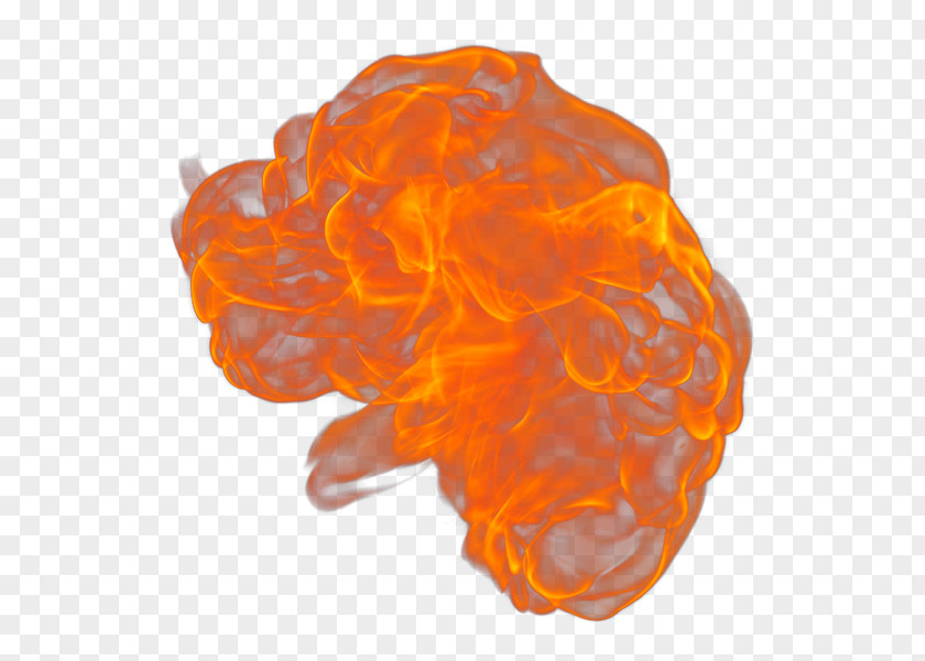 Fire Flame Llama Rendering Painting PNG