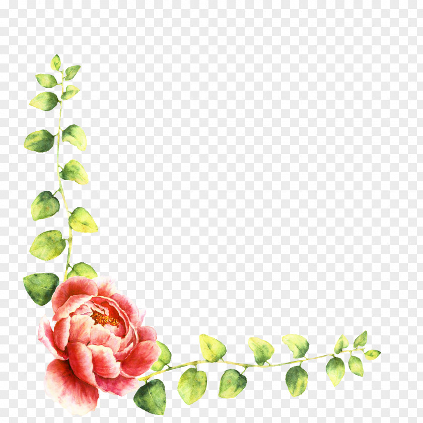 Garden Roses Floral Design Cut Flowers Petal PNG