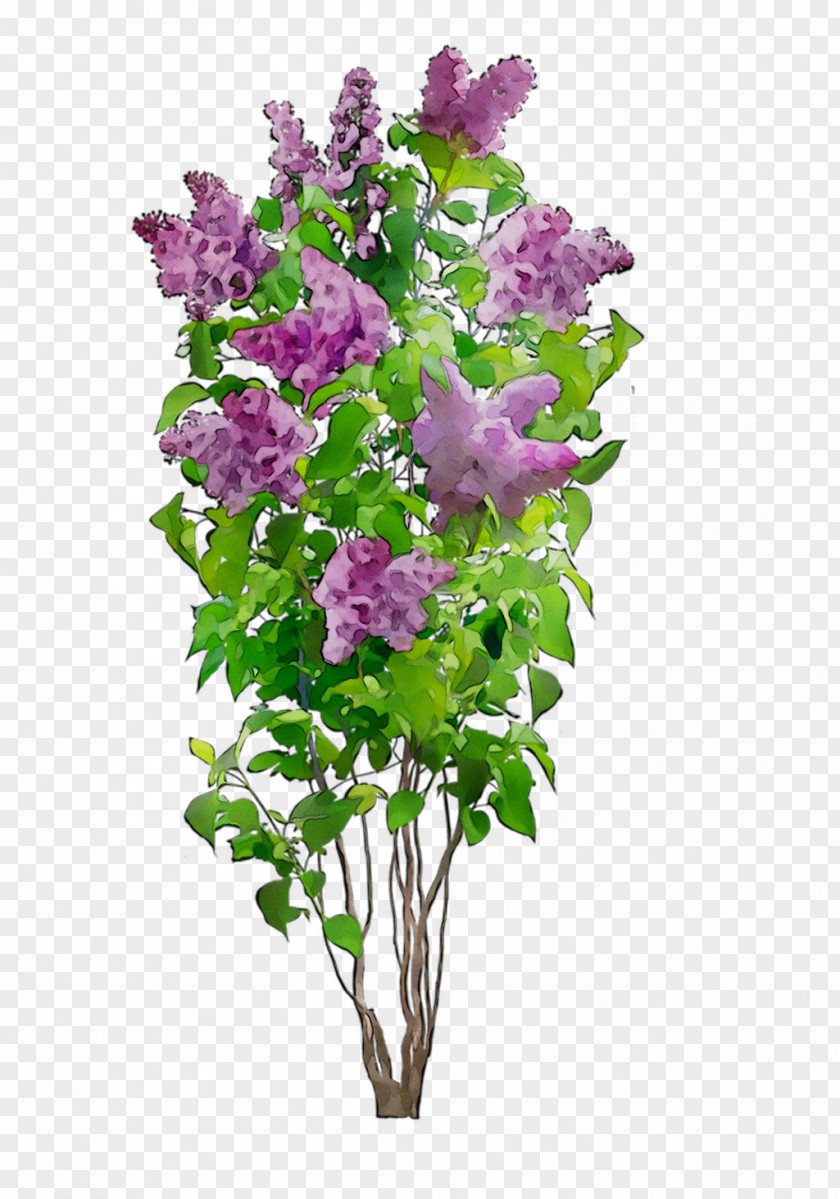 Lavender Cut Flowers Floral Design Flower Bouquet PNG