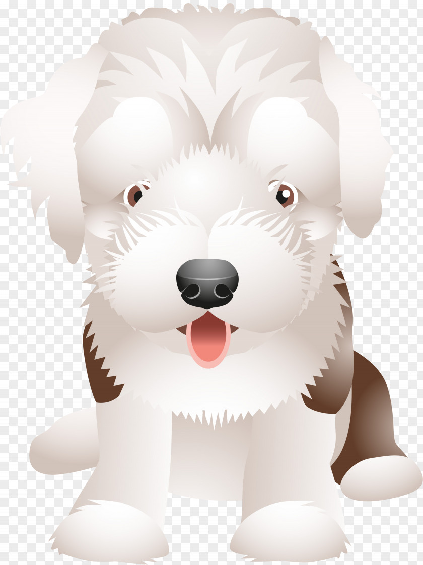 Puppy Maltese Dog Schnoodle Breed Companion PNG