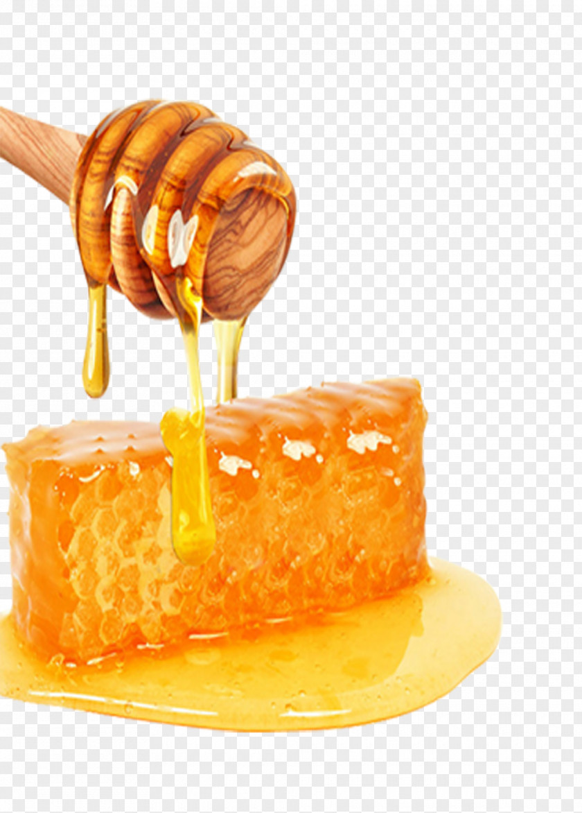 Sweet Honey Bee Yuja-cha Sweetness PNG
