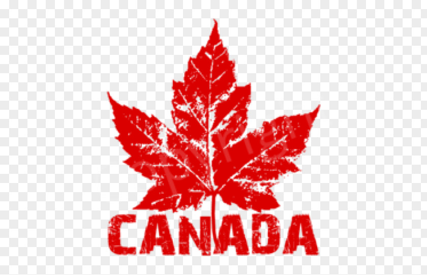 T-shirt Canada Hoodie Maple Leaf Souvenir PNG