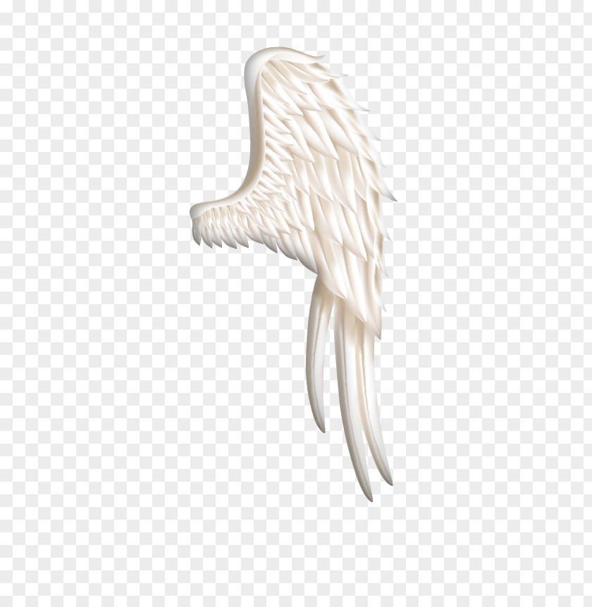 White Wings Material Bird Wing Icon PNG