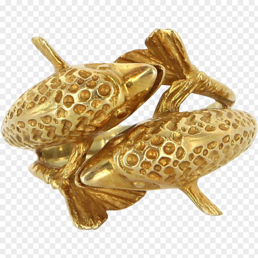 Amphibian Gold PNG