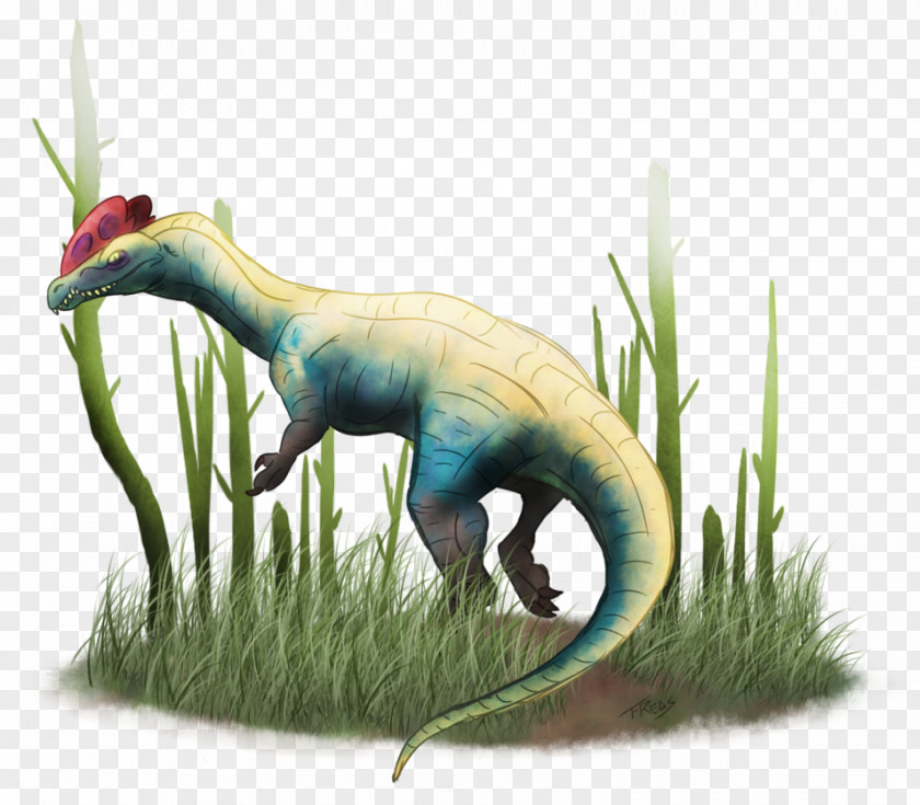 Carnage Dilophosaurus Primal Carnage: Extinction Dinosaur ARK: Survival Evolved PNG