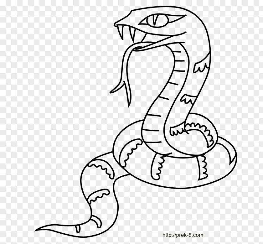 Cartoon Jungle Snake Coloring Book Crocodile Tiger Drawing PNG