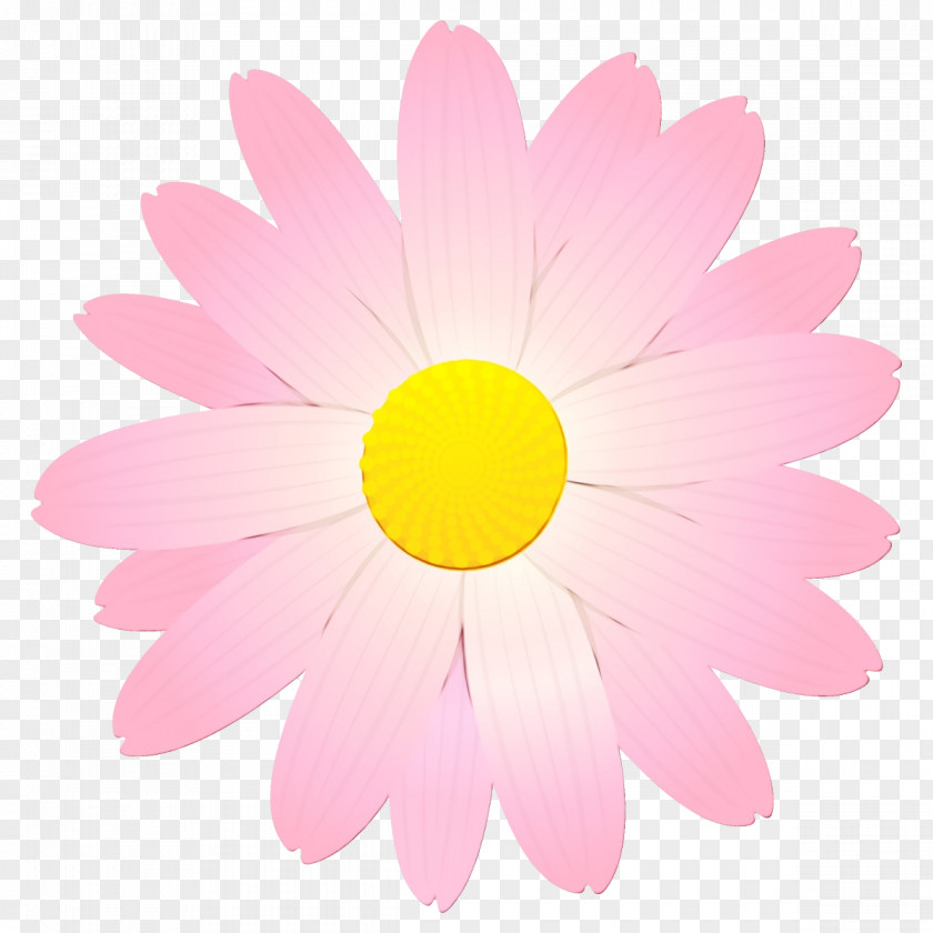Sky Chamomile Daisy PNG