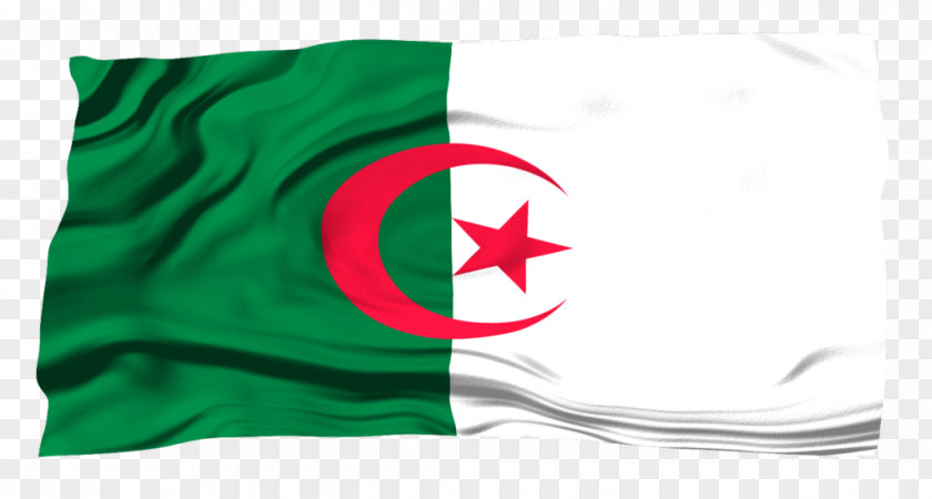 Algeria Flag Brand Green PNG