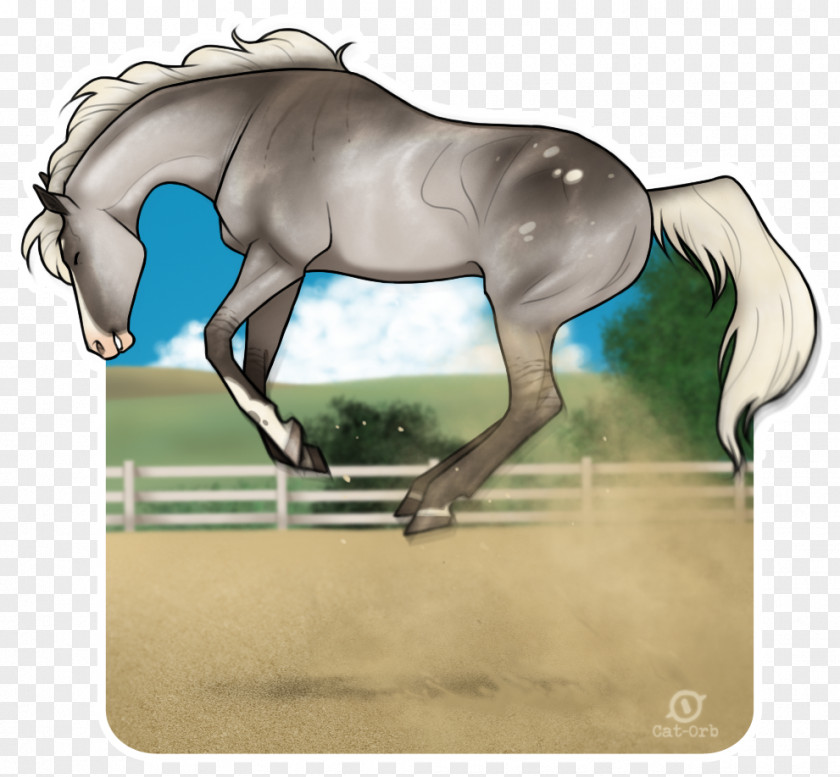 Horseshoe Wind Chimes Mane Foal Mustang Mare Rein PNG