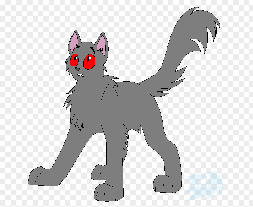 Kitten Whiskers Cat Canidae Horse PNG