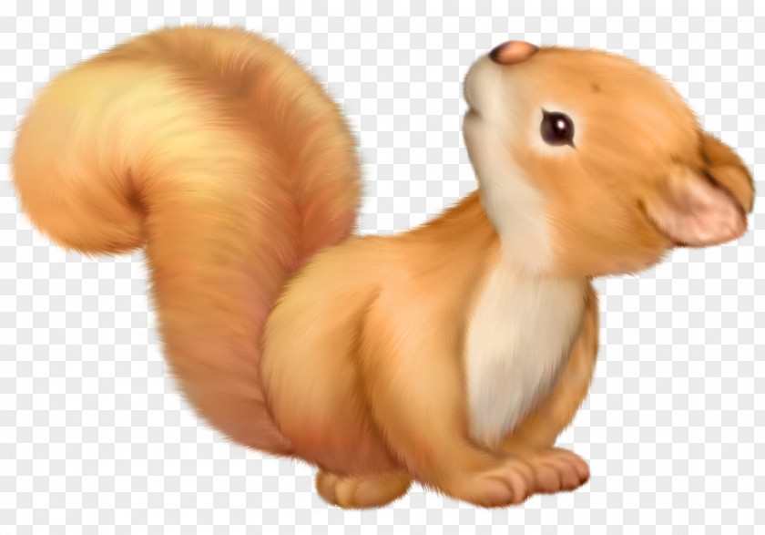 Squirrel Cuteness Clip Art PNG