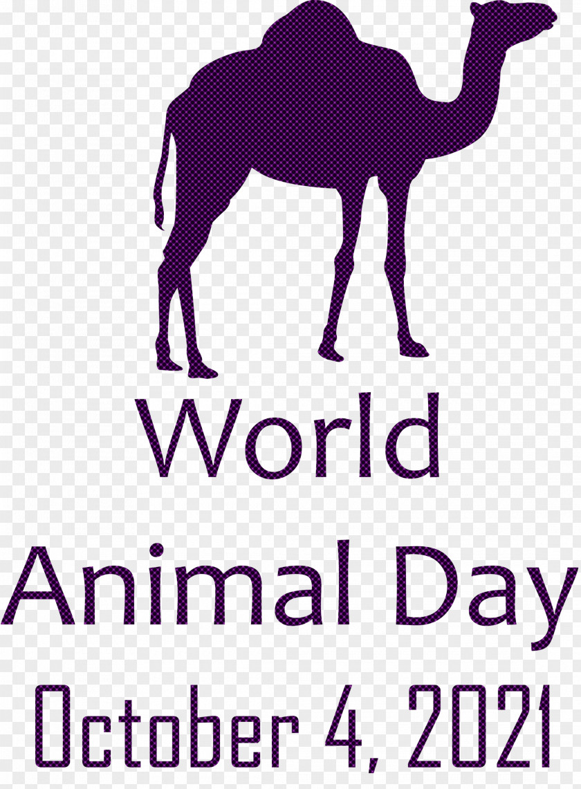 World Animal Day Animal Day PNG