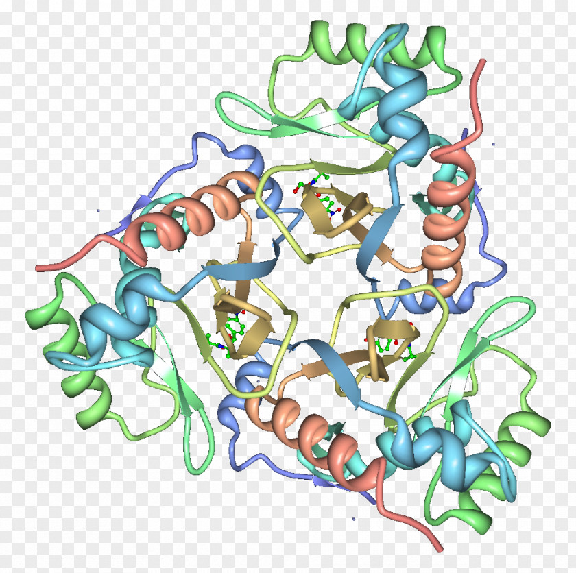 Chloramphenicol Acetyltransferase Martindale: The Complete Drug Reference Enzyme PNG