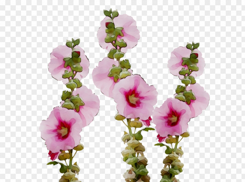 Floral Design Cut Flowers Petal Pink PNG