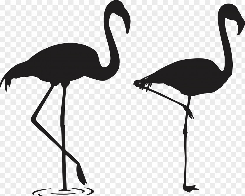 Ink Flamingos Sticker T-shirt Wall Decal Stencil PNG
