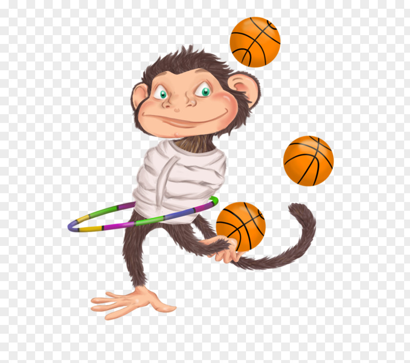 Monkey Human Behavior Homo Sapiens Clip Art PNG