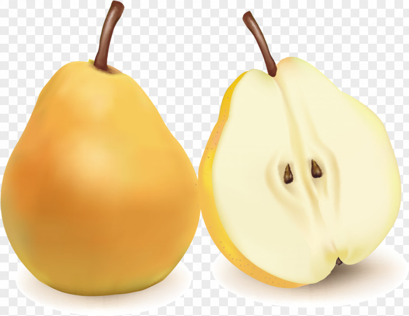 Pear Fruit Kompot Clip Art PNG