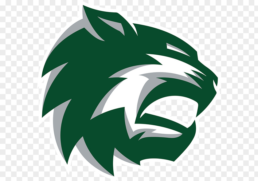 School Tonganoxie De Soto High National Secondary DeSoto PNG