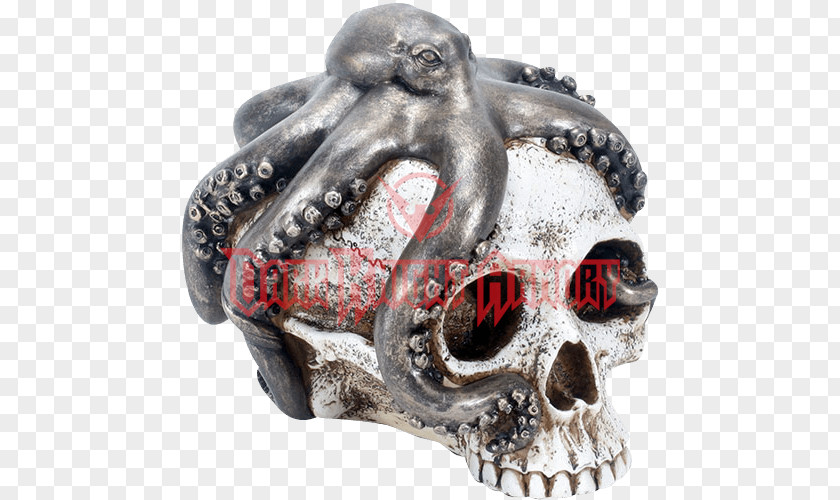 Skull Octopus Clothing Glass Head PNG