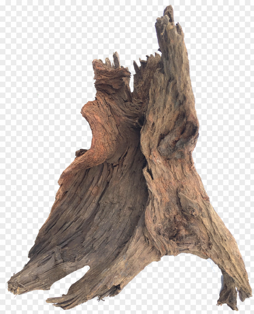 Wood Driftwood Sculpture Trunk Tree PNG