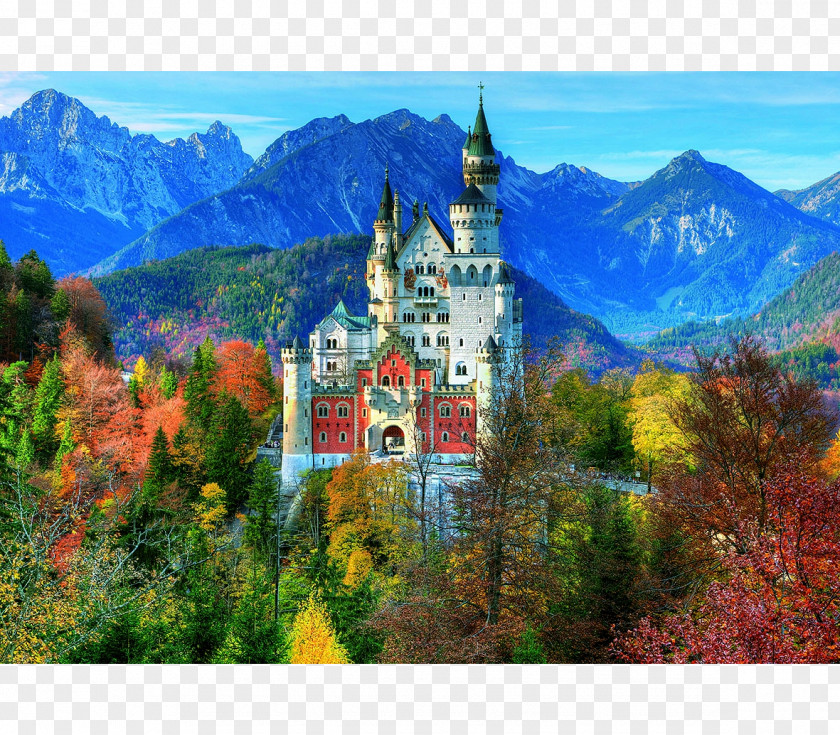 Castle Jigsaw Puzzles Neuschwanstein Educa Borràs Borrás Plana PNG