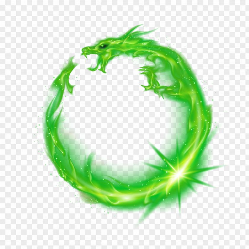 Green Dragon Fire Flame PNG