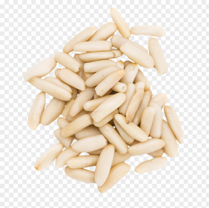 Pine Nuts Commodity Ingredient PNG