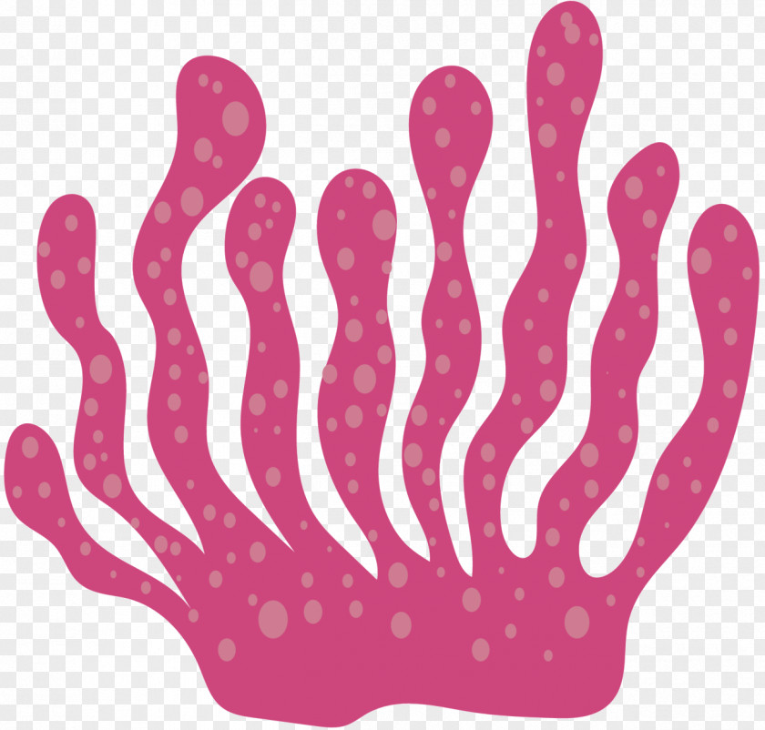 Product Design Finger Pink M Font PNG
