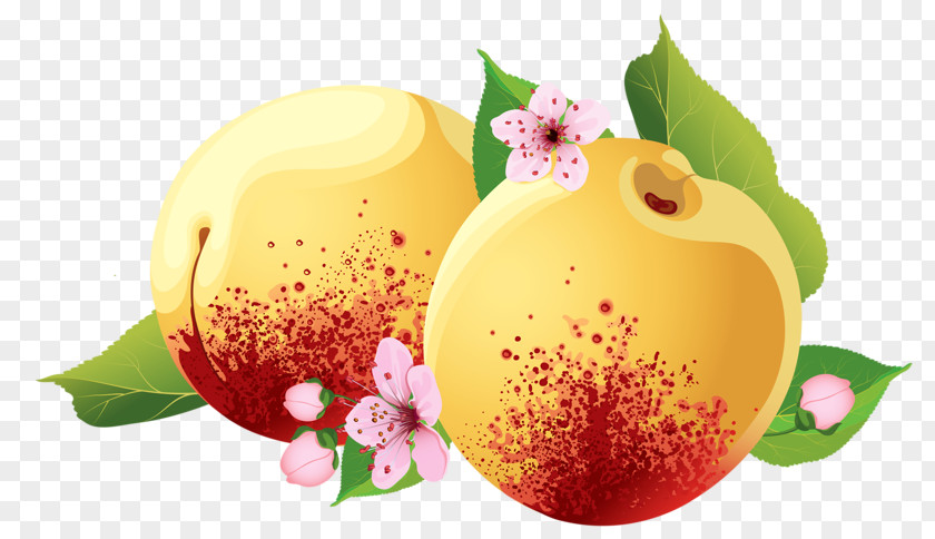 Hand-painted Peach Marmalade Fruit PNG