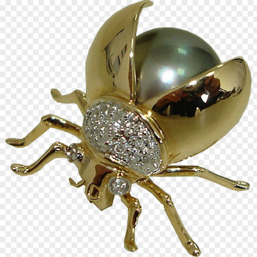 Insect Brooch Body Jewellery .com PNG