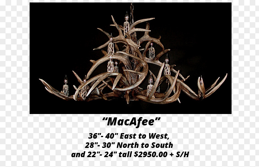 Antler White-tailed Deer Elk Chandelier PNG