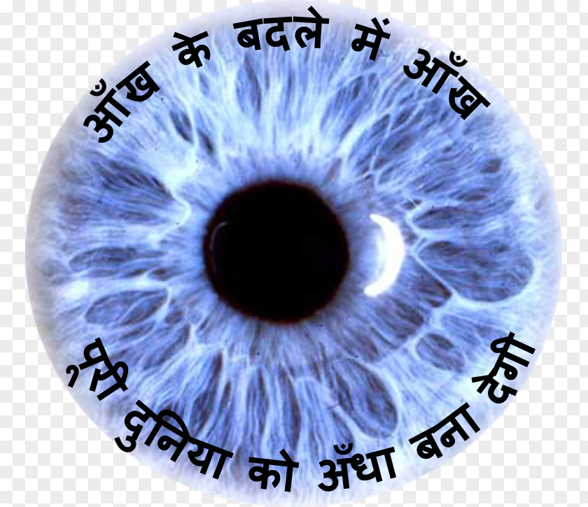 Eye Iris Human Visual Perception Color PNG